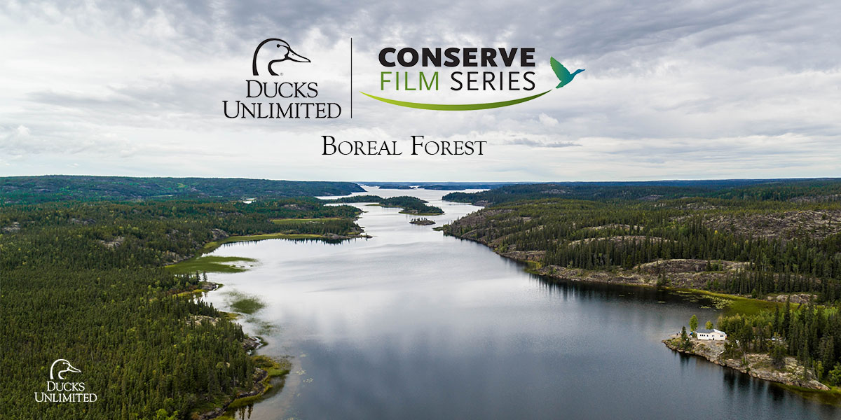 1200x600 Title Slide Boreal